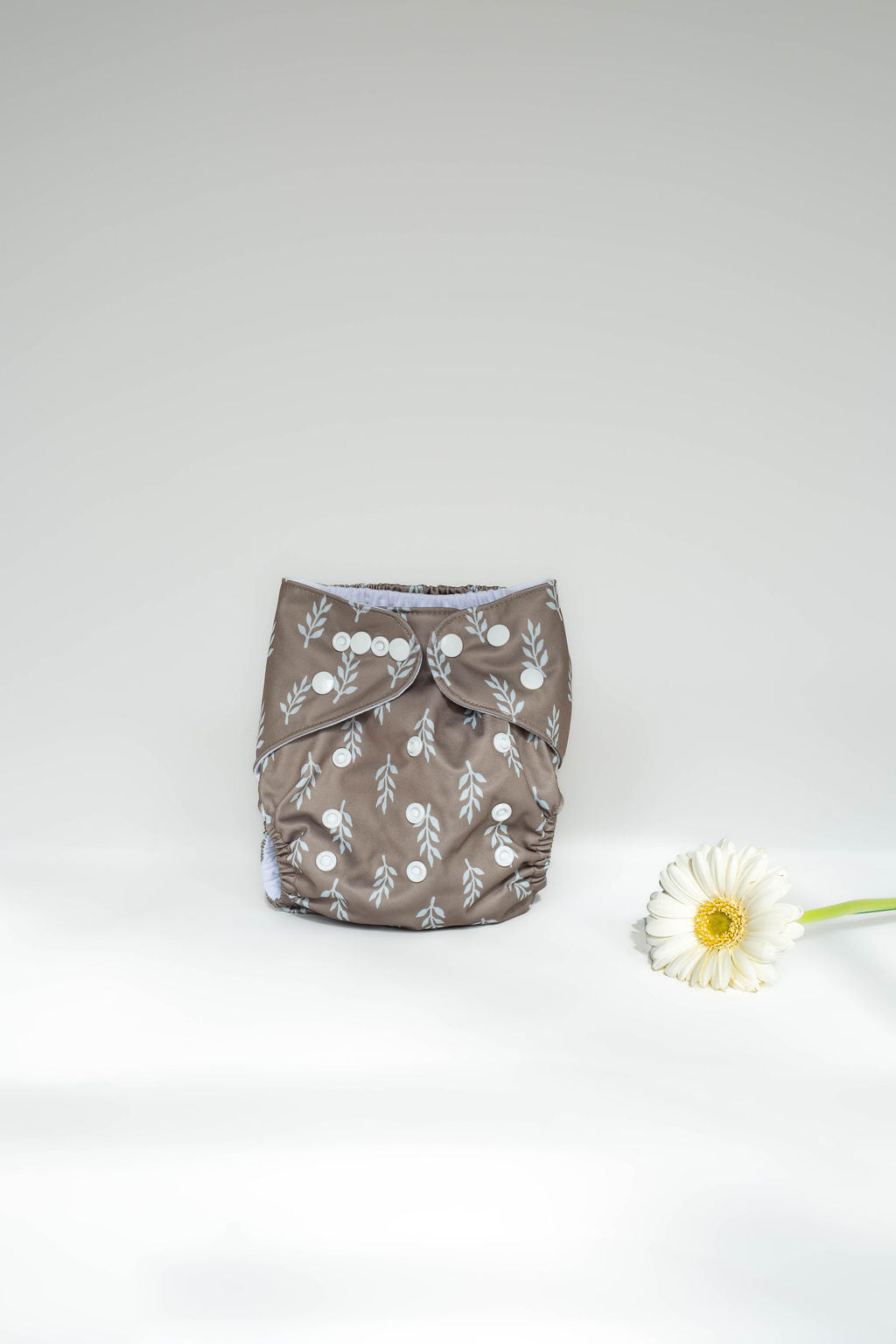 Pocketluier | Wilgje